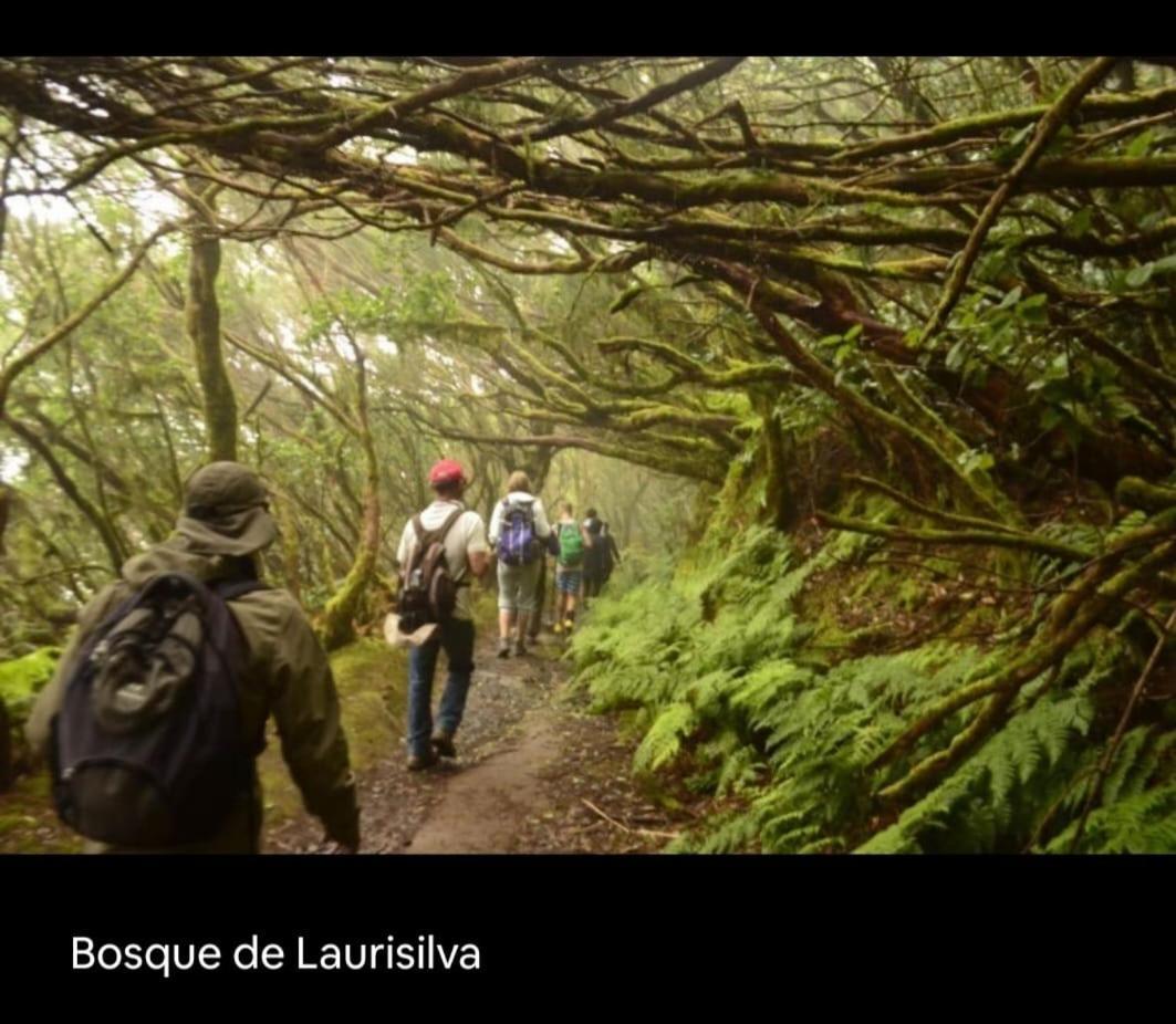 Playa Benijo Paraiso Rural Trail Santa Cruz de Tenerife Ngoại thất bức ảnh